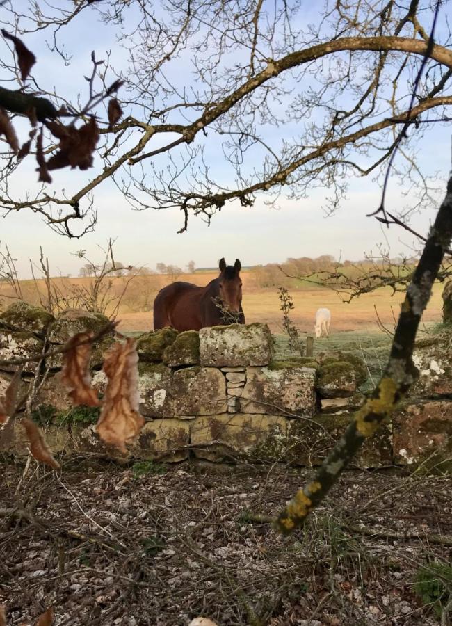 Wilding On A Whim Hotell West Linton Exteriör bild